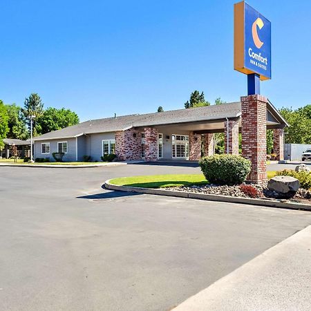 Comfort Inn & Suites Susanville Exteriér fotografie